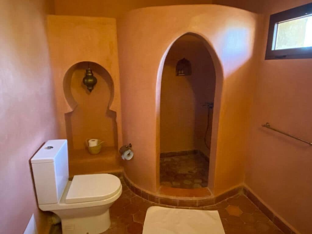 Ein Badezimmer mit Toilette, Dusche und Handtuchhalter.