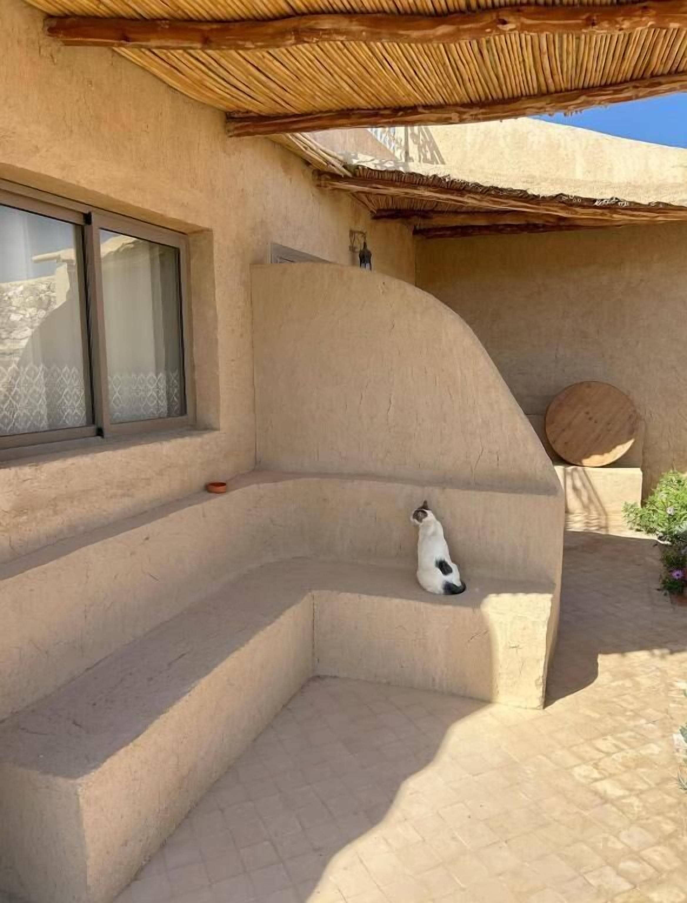 A curved concrete bench with a small dog sitting on it, a round wooden table, and a window with a view.