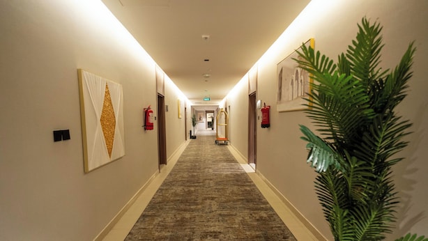 A hotel corridor with a carpeted floor, wall-mounted fire extinguishers, and a potted plant on the right.