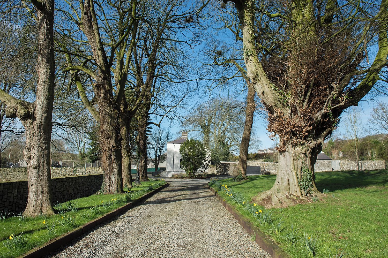 A gravel path flanked by trees and a stone wall, leading to a building with a white facade.