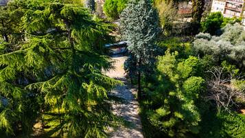 A pathway surrounded by dense greenery and trees, leading to a building with a visible entrance.
