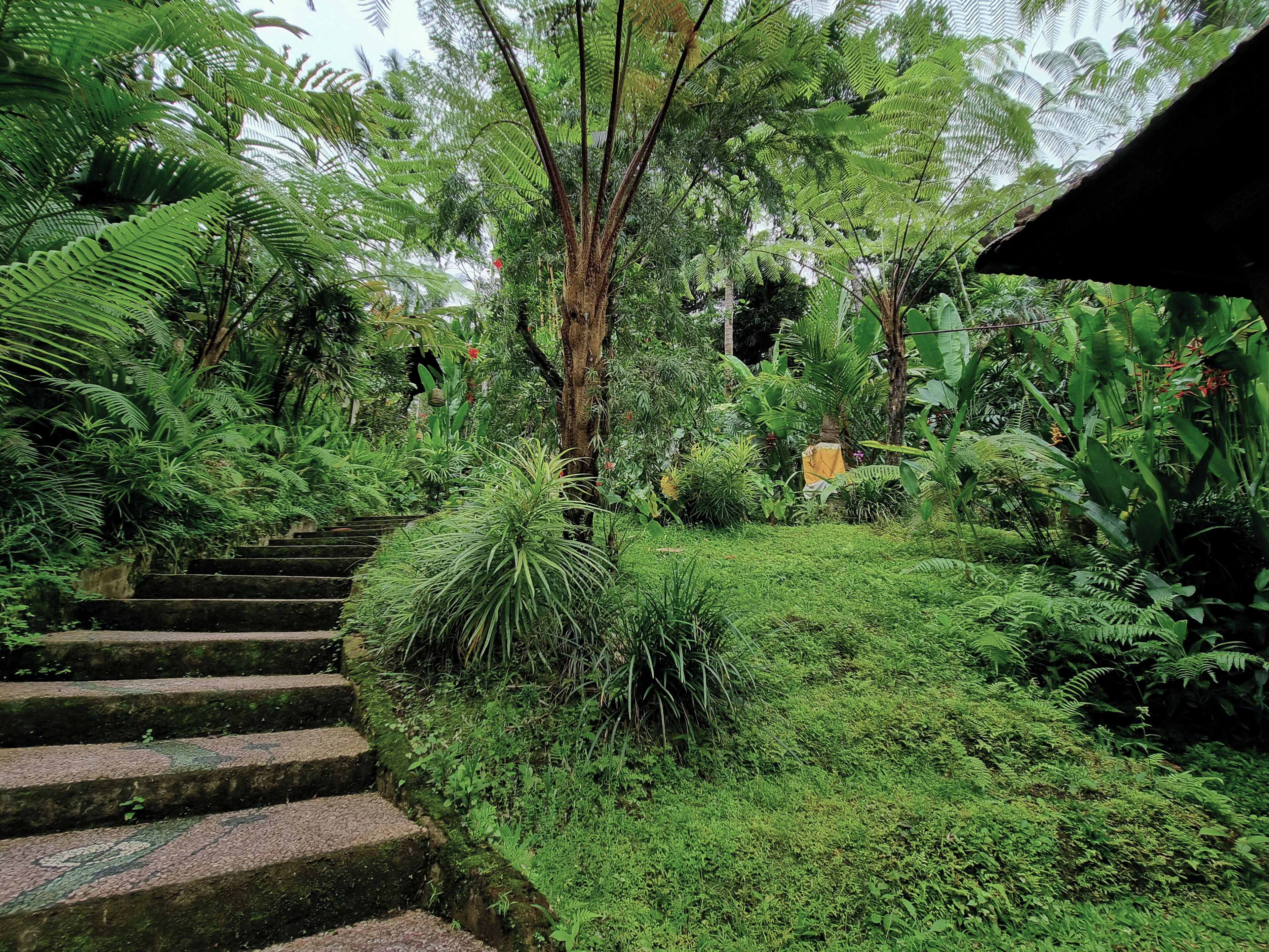 Un exuberante jardín con escalones de piedra que conducen a una estructura de madera.