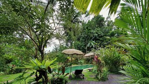 Una terraza de madera que conduce a una zona de piscina rodeada de exuberante vegetación, con dos sombrillas proporcionando sombra.