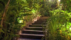 Una escalera rodeada de exuberante follaje que conduce a un edificio con techo cubierto.