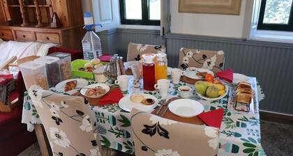 Room-exclusive Luxury Traditional Portug