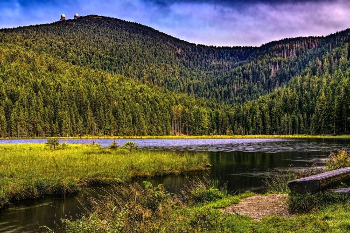 A river surrounded by dense forest and a hill with no visible structures.