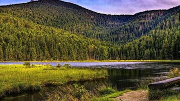 A river surrounded by dense forest and a hill with no visible structures.