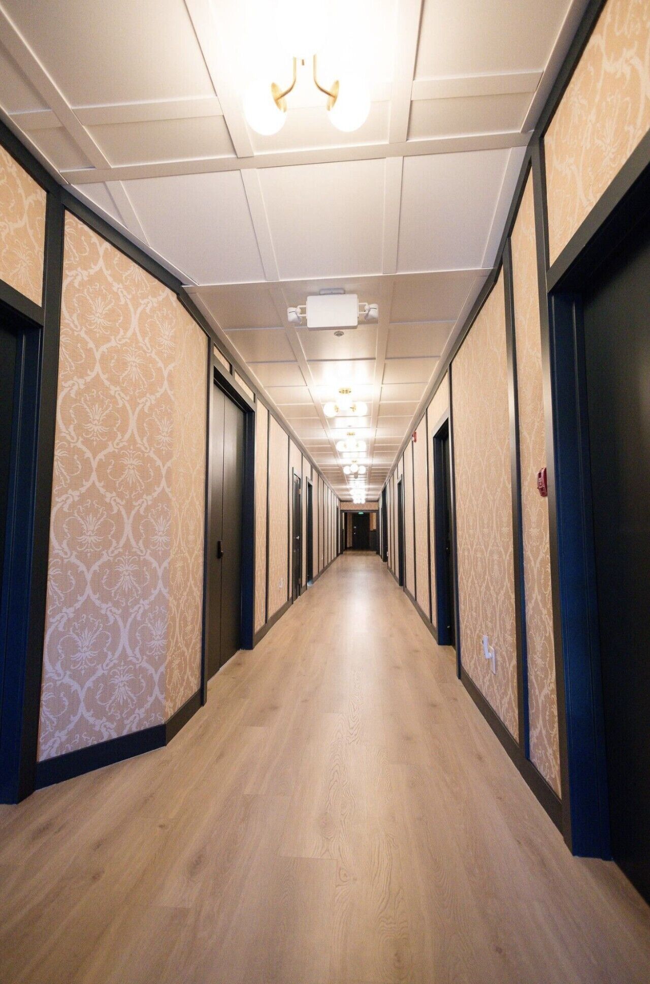 A hotel corridor with patterned wallpaper, wooden flooring, and doors on both sides.