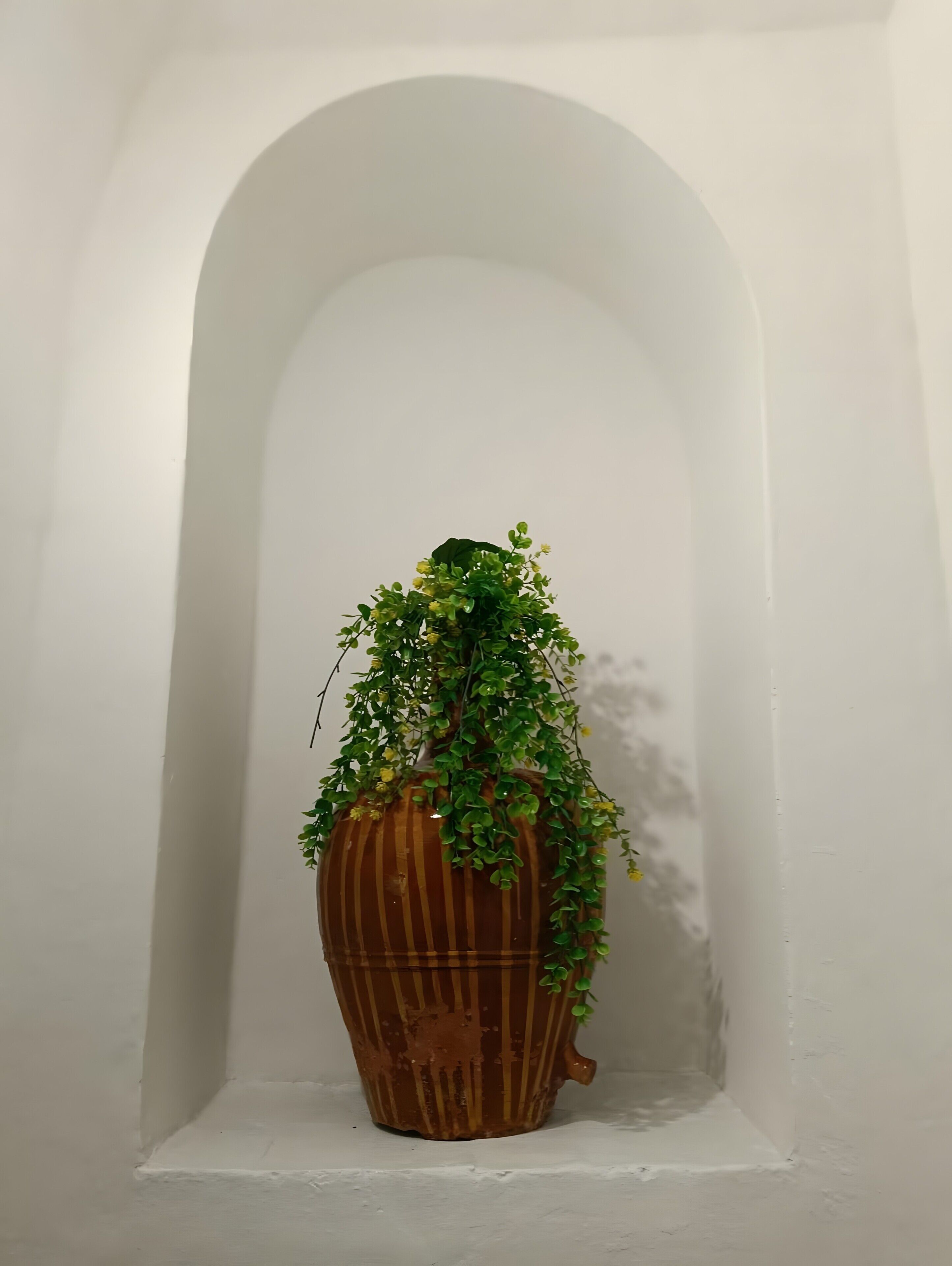 A potted plant in a brown vase with green leaves and yellow flowers, placed in a white alcove with an arched ceiling.