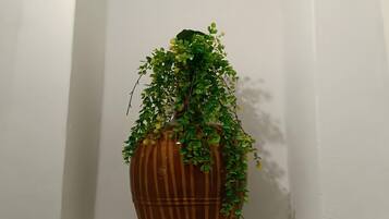 A potted plant in a brown vase with green leaves and yellow flowers, placed in a white alcove with an arched ceiling.