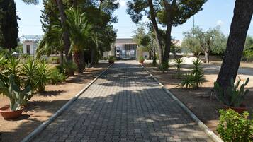Um caminho pavimentado ladeado por plantas em vasos e árvores, que leva a um edifício com portão.