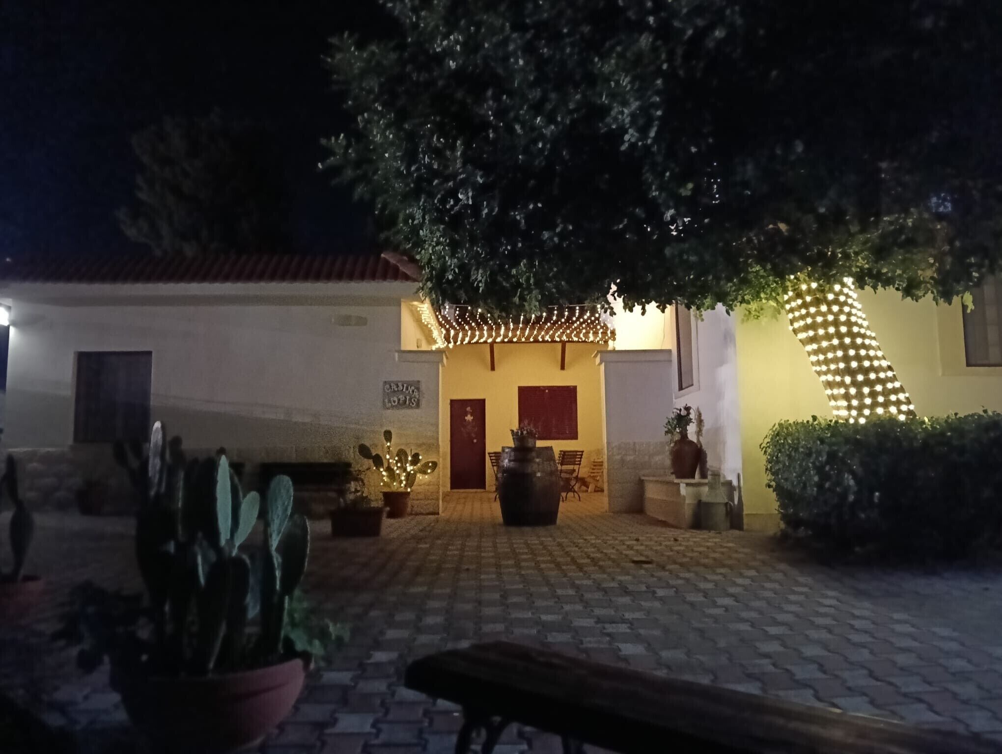 Terraza o patio