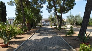 A paved pathway flanked by potted plants and trees leading to a building with a gated entrance.
