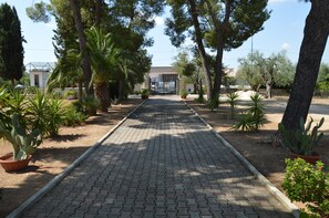 A paved pathway flanked by potted plants and trees leading to a building with a gated entrance.