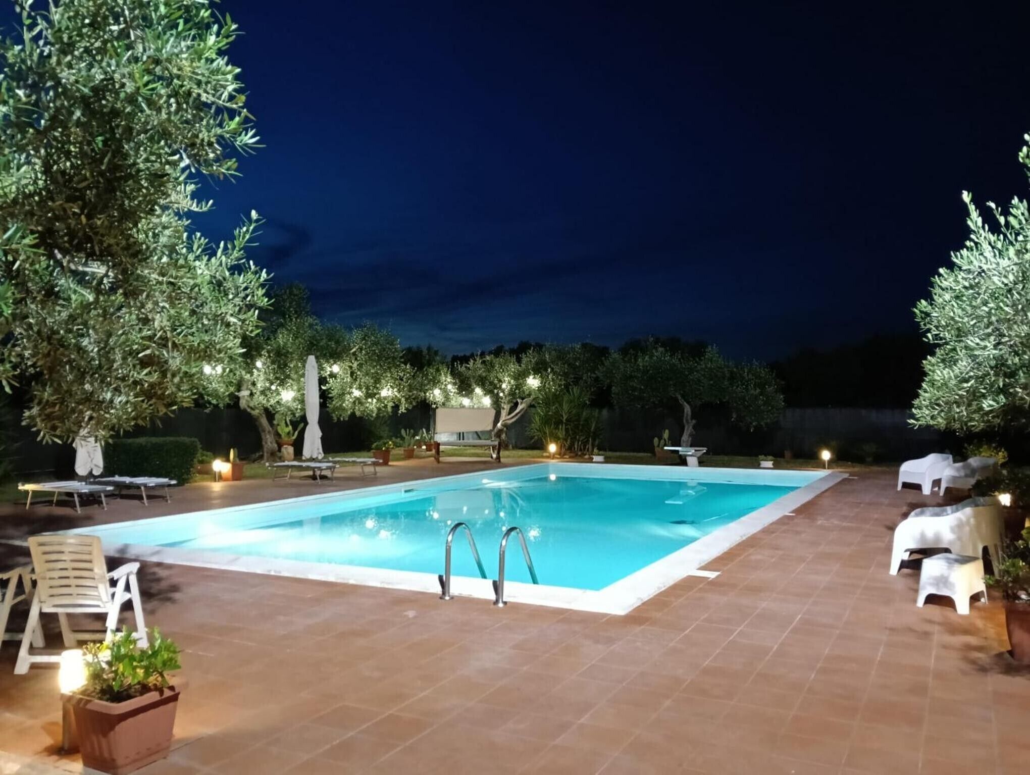 Una piscina rettangolare con due scalette, circondata da mobili da esterno e piante in vaso.