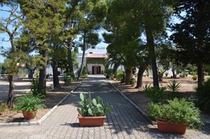 A paved pathway leading to a building with a red roof, surrounded by trees and potted plants.