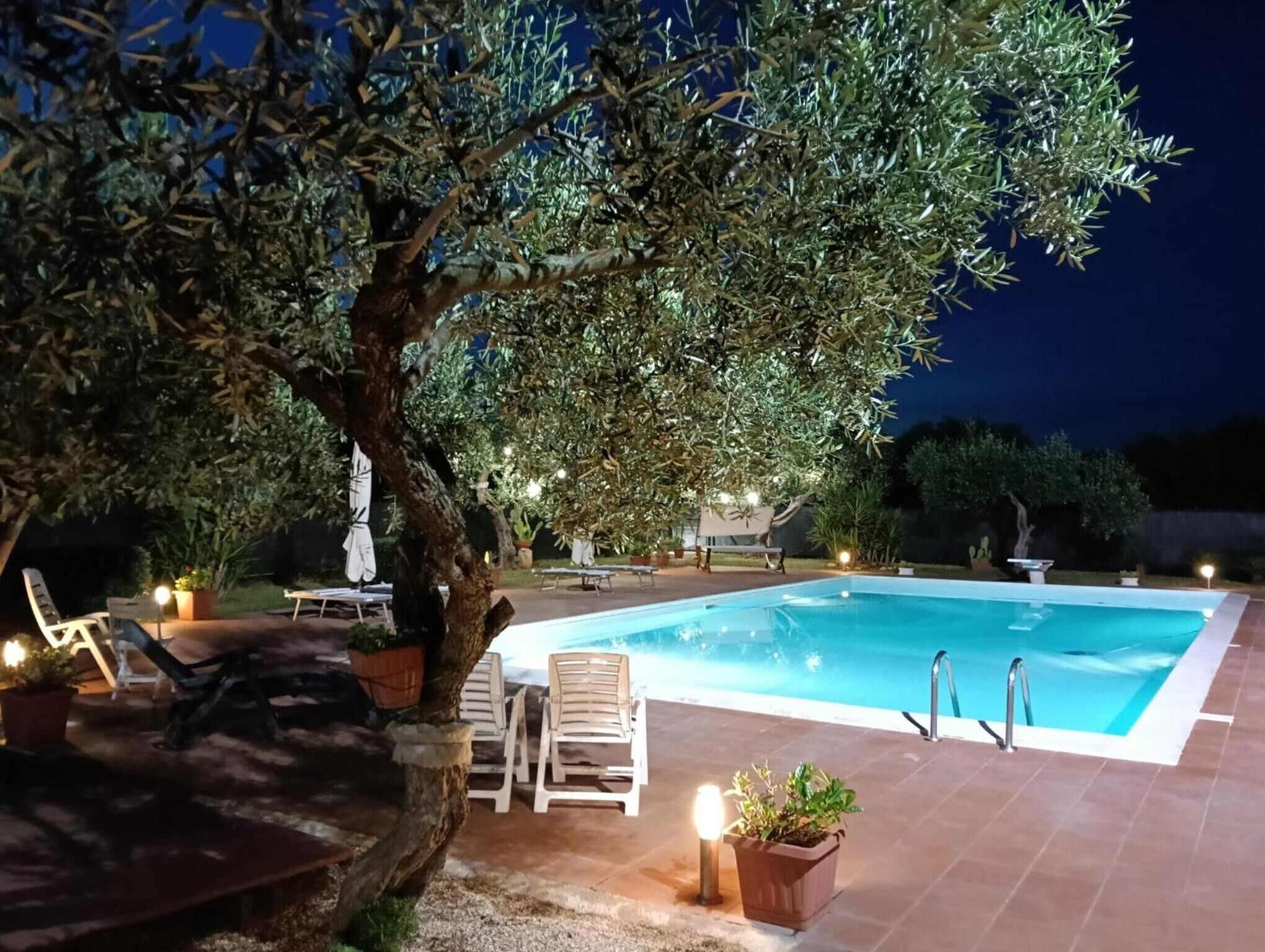A swimming pool with a tree in the foreground, surrounded by patio furniture and potted plants.