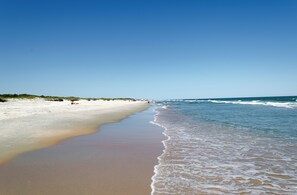 Une plage avec un rivage sablonneux et des vagues douces.