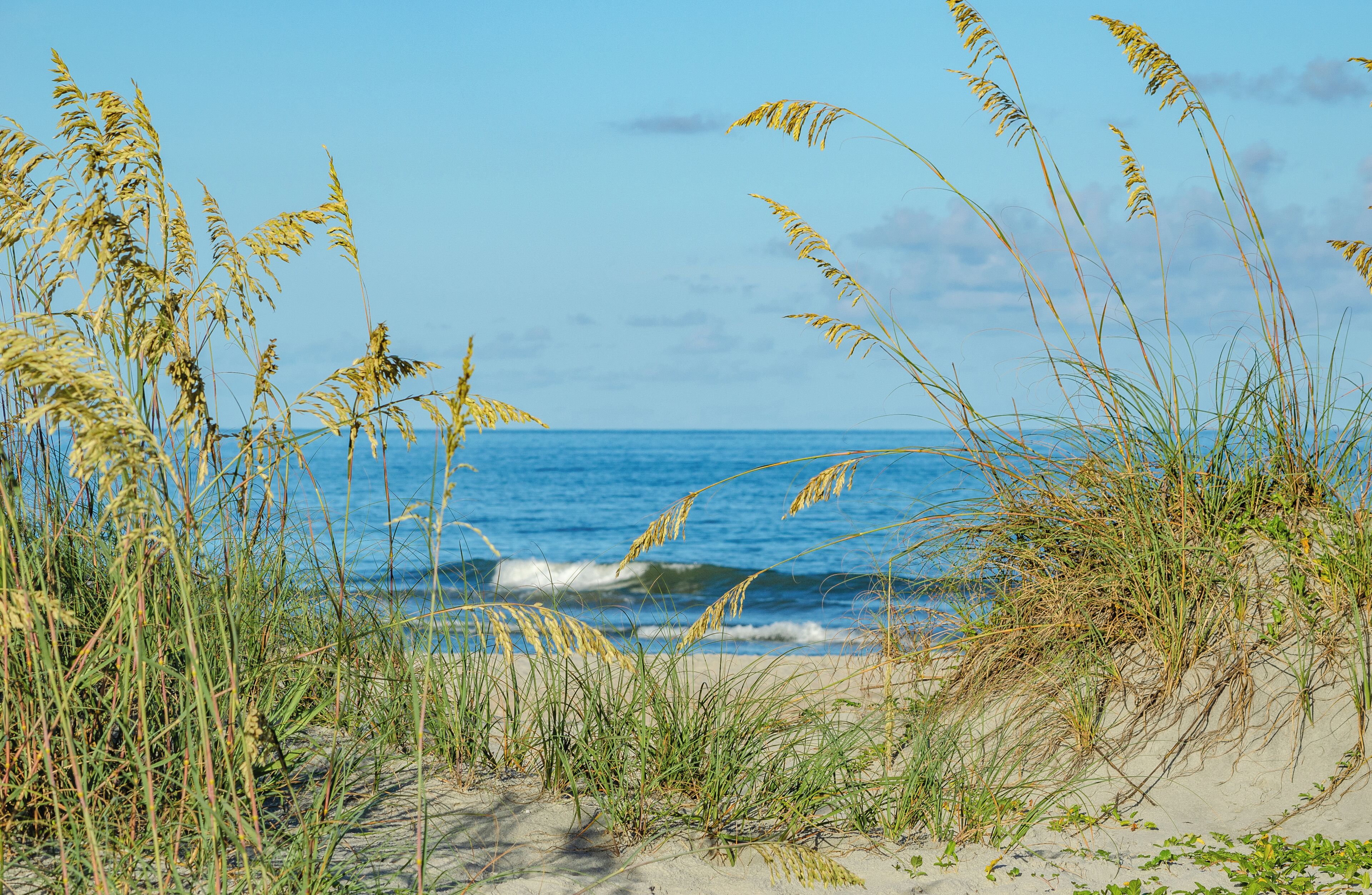 Huntington Beach State Park
