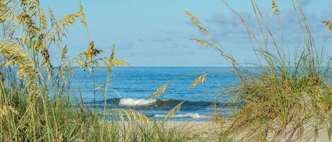 Huntington Beach State Park