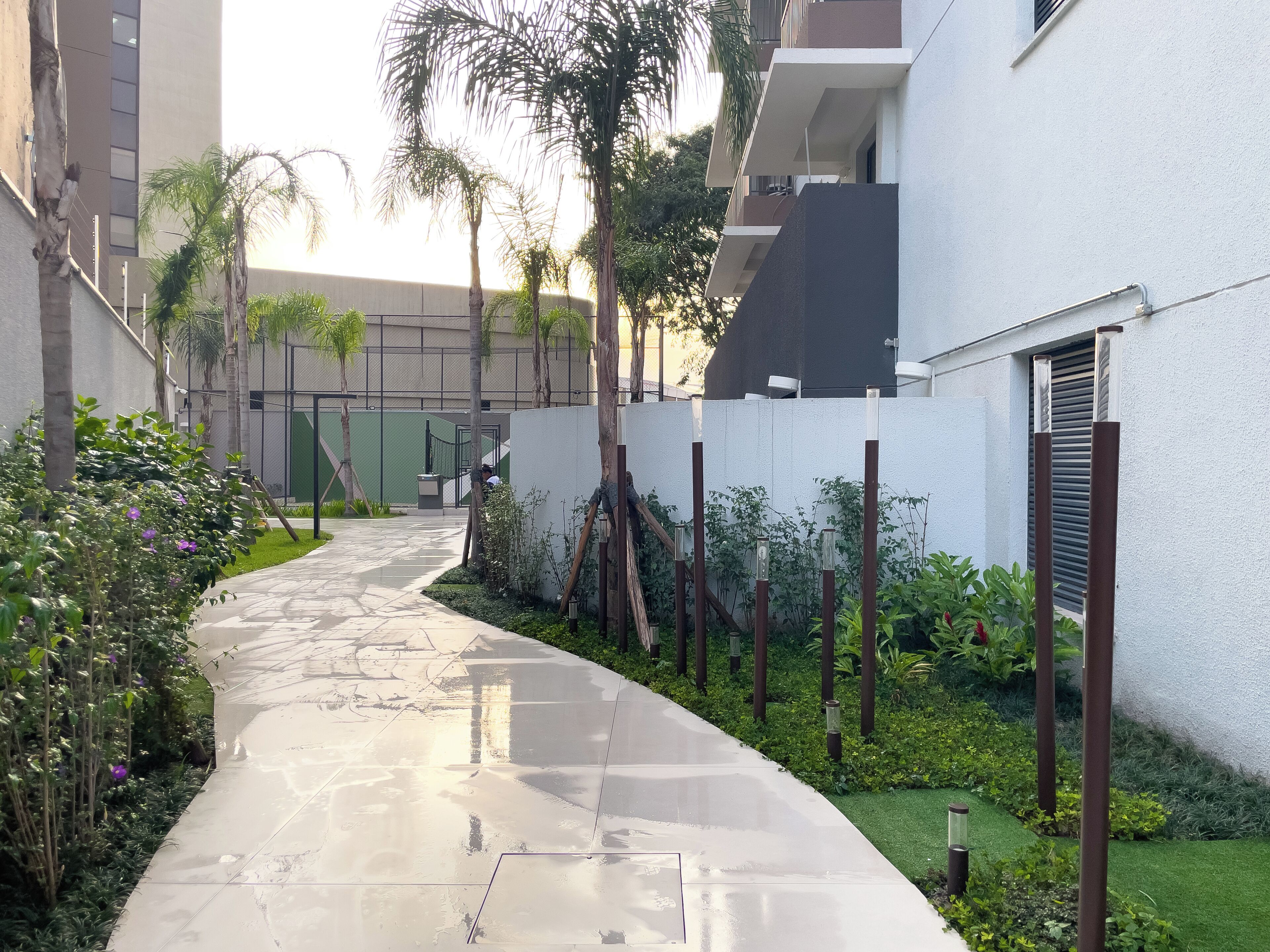 Un sendero que conduce a un edificio de fachada blanca, rodeado de follaje y palmeras.