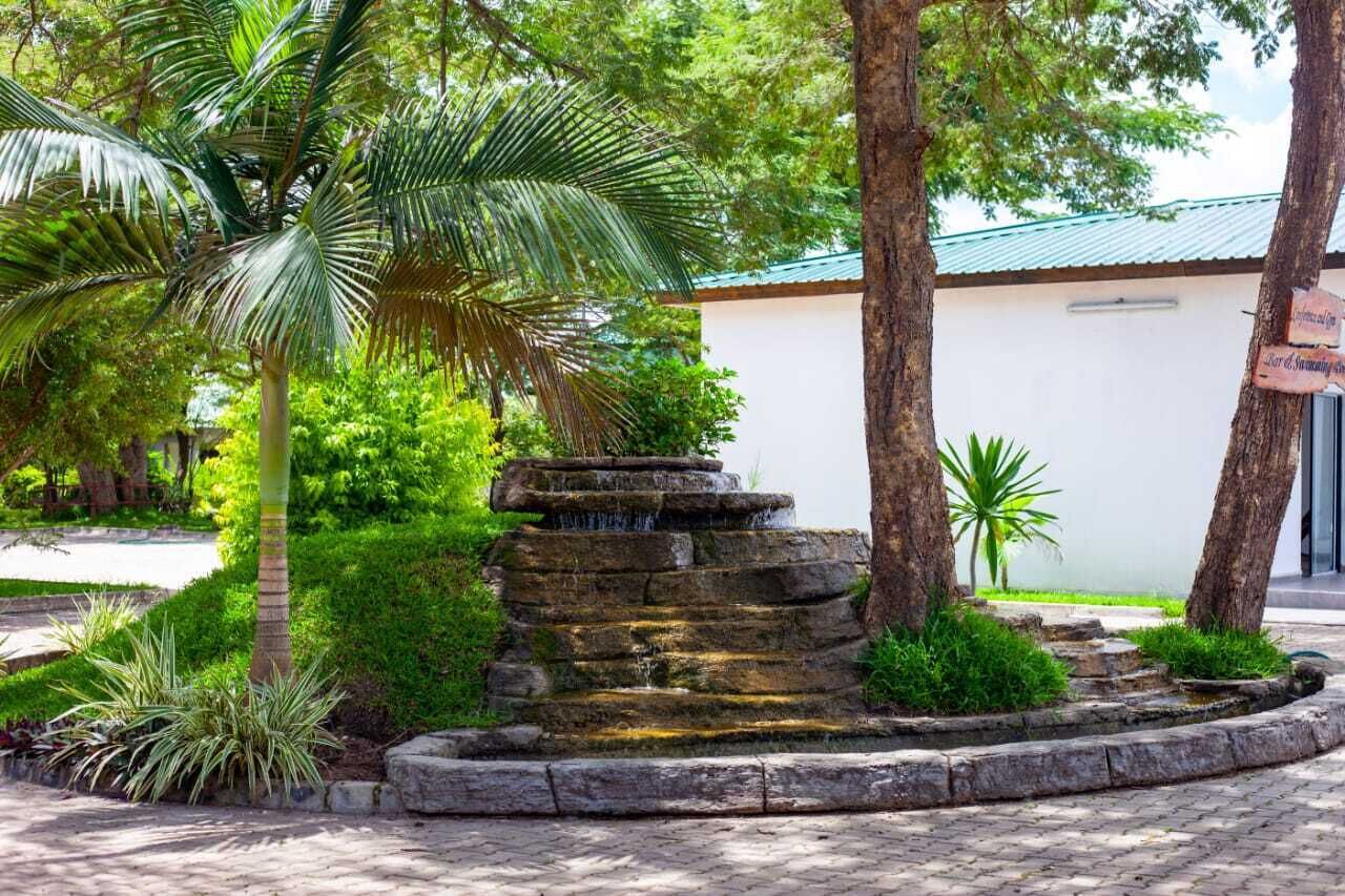 Una fuente de piedra rodeada de exuberante vegetación y un edificio con techo verde.