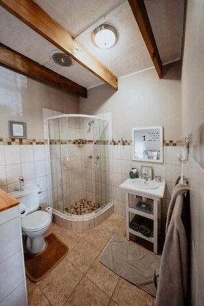 A bathroom with a toilet, shower, sink, and towel rack. - Dassenheuwel Farm Cottages (Malmesbury)