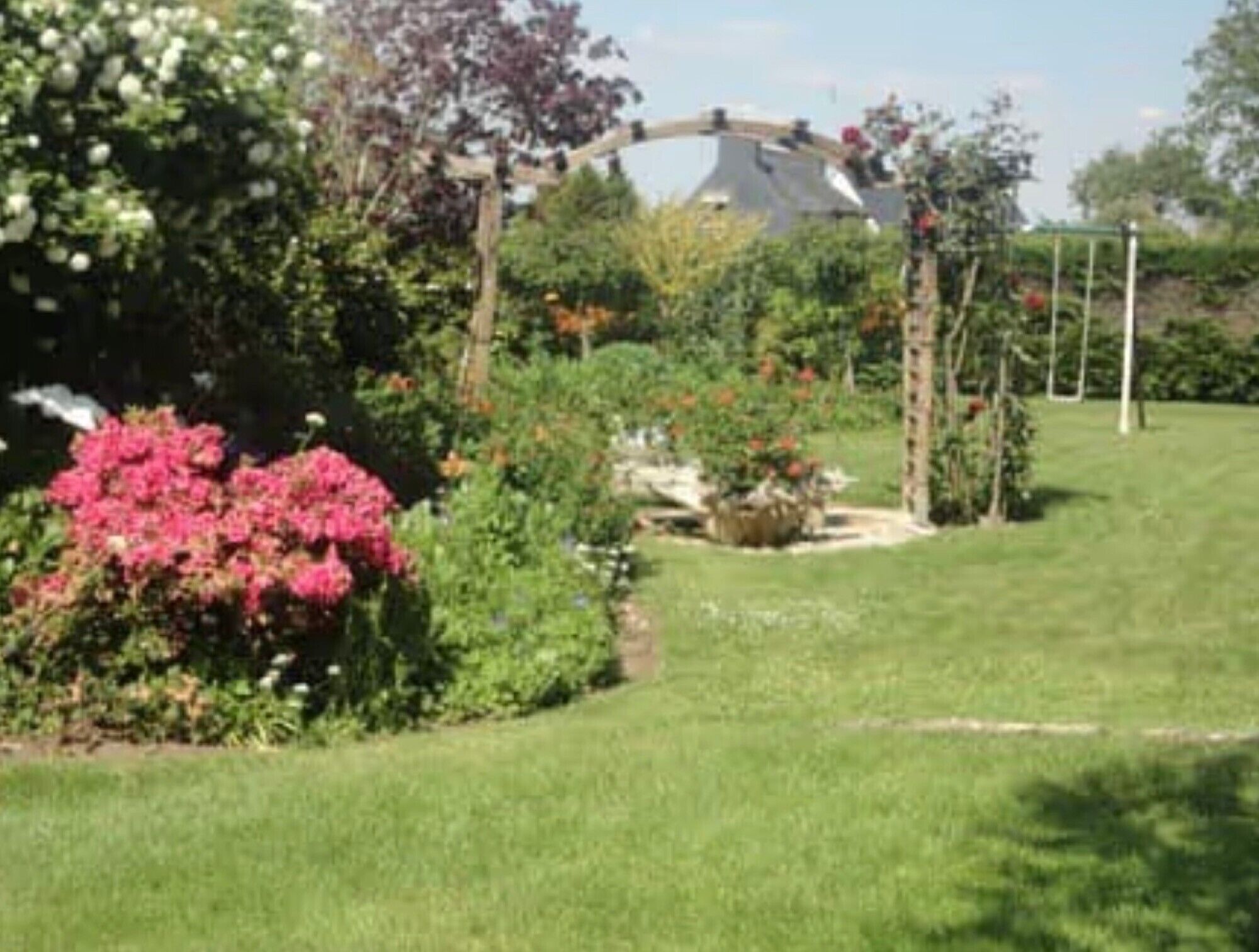 A garden with a pergola, a variety of plants, and a lawn.