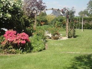 A garden with a pergola, a variety of plants, and a lawn.