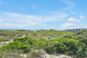 A coastal landscape with a wooden boardwalk, dense vegetation, and a clear sky. - Cozy ocean front 3-bedroom cottage in beautiful Carolina Beach (Carolina Beach)