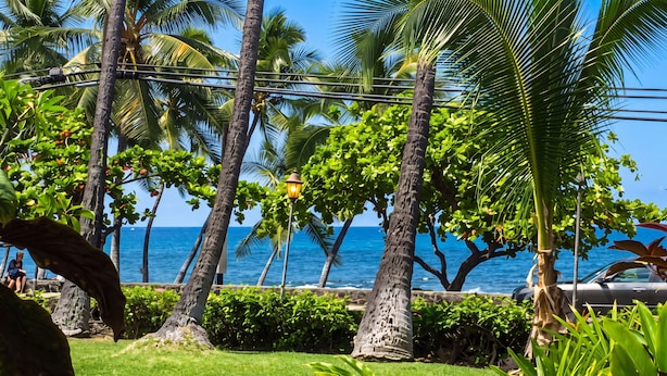 A coastal garden with palm trees, a view of the ocean, and a parked car. - Kailua Kona Islander | Steps to Beach, Lanai, Pool (Kailua-Kona)
