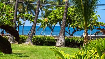 A coastal garden with palm trees, a view of the ocean, and a parked car.