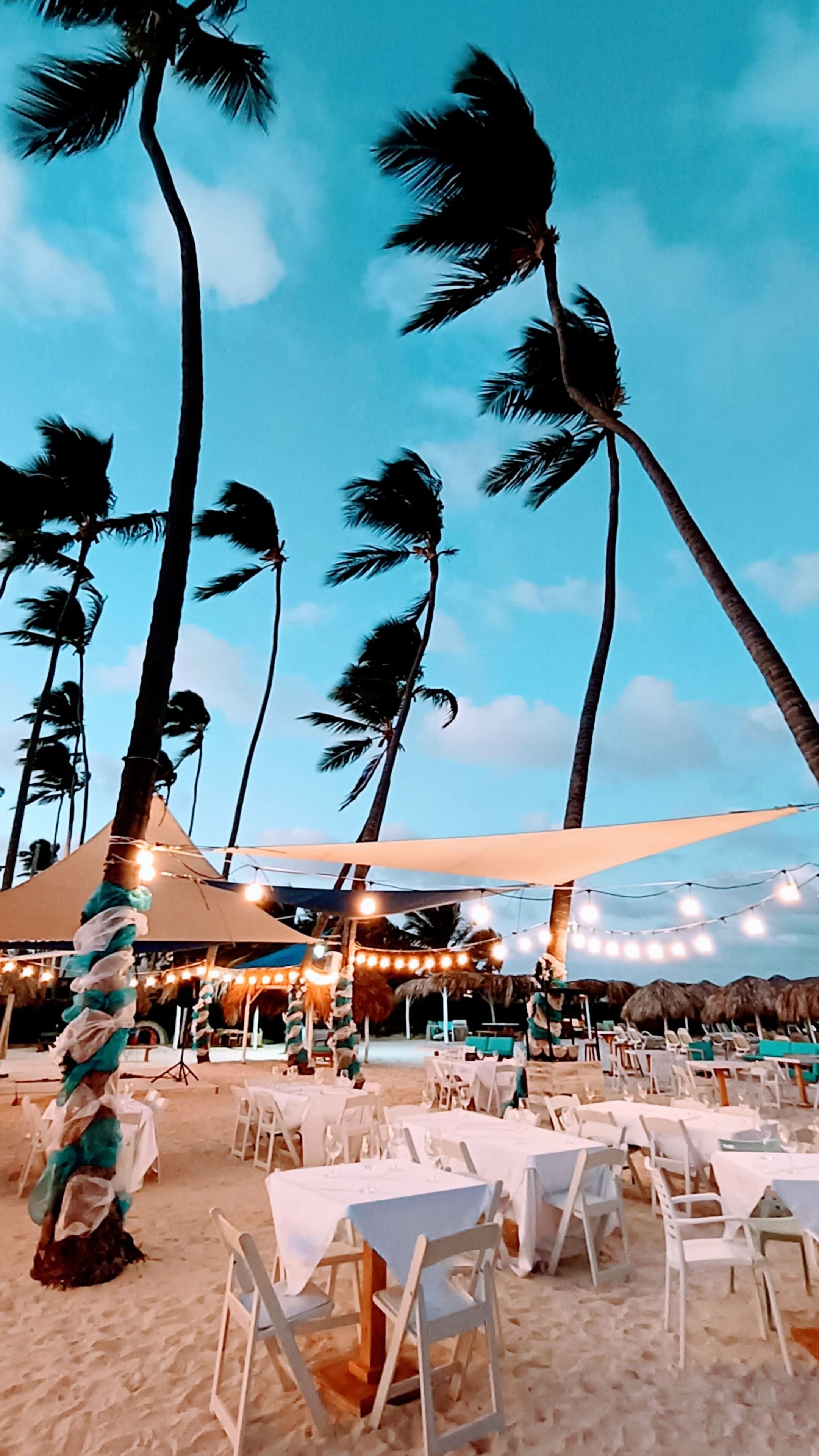 Een terras met tafels en stoelen, palmbomen en lichtjes, uitgestrekt onder een heldere lucht.