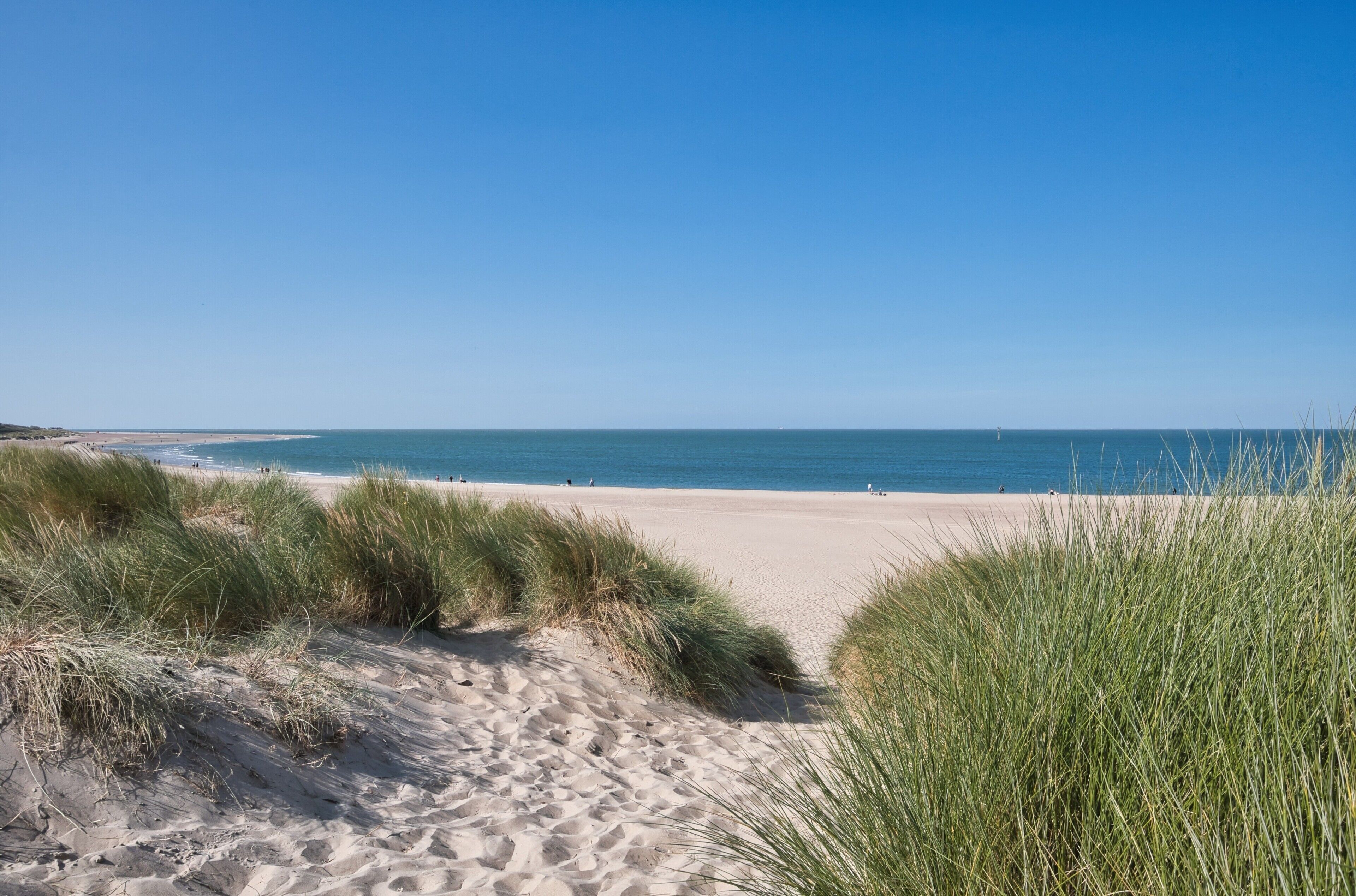 Una platja sorrenca amb dunes i l'oceà al fons.