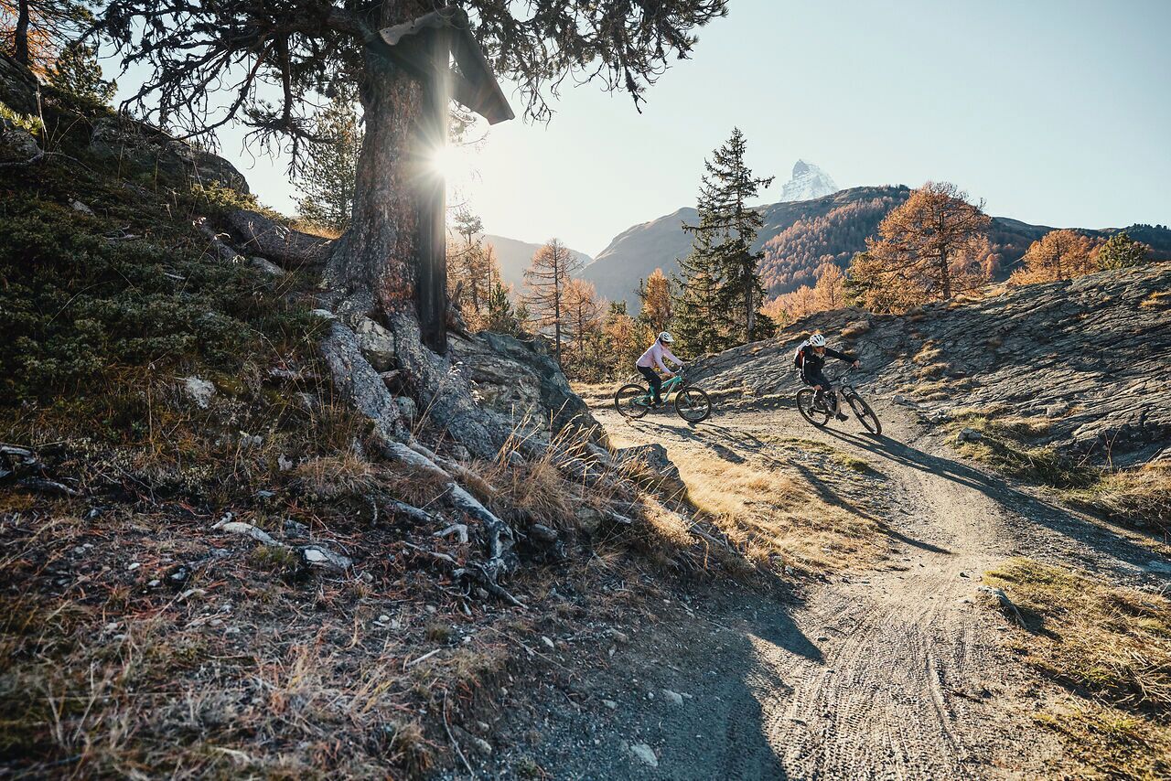 En sti til mountainbikes med stenet terræn og træer.