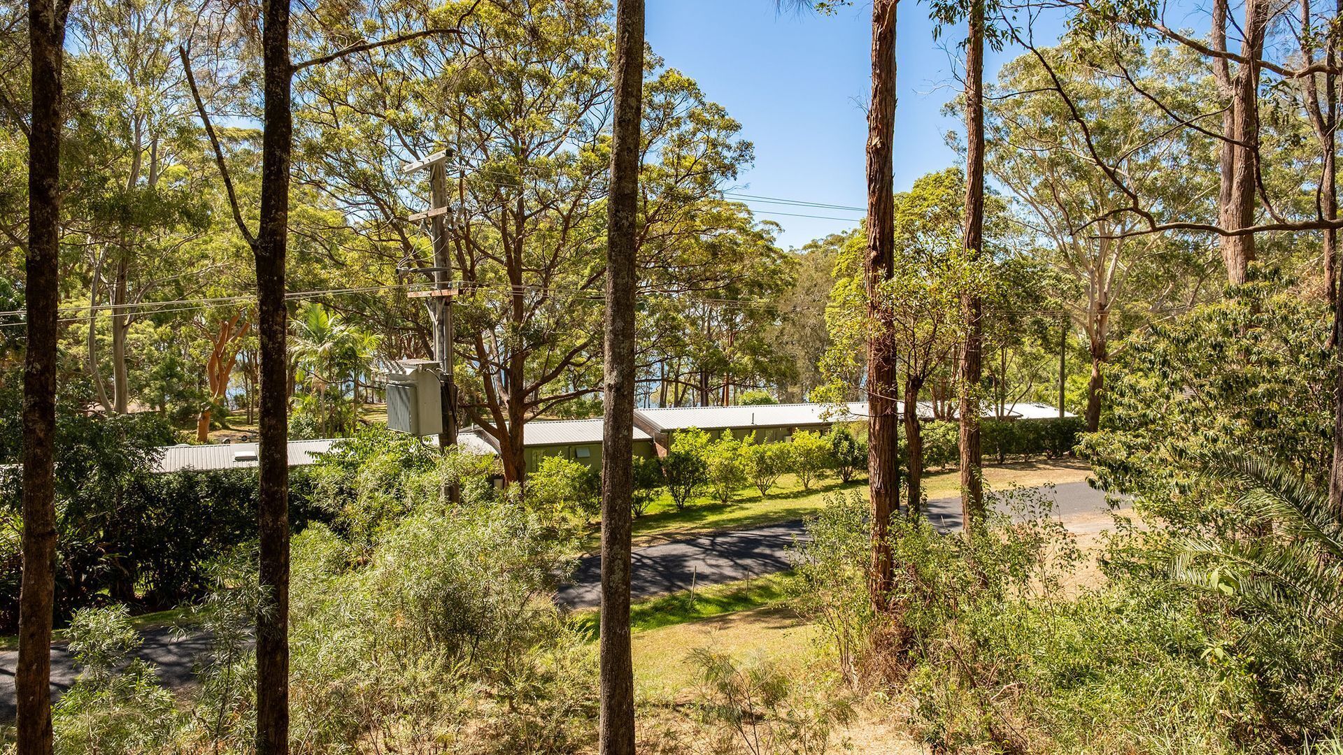 A forested area with a paved path, a utility pole, and a building with a flat roof.
