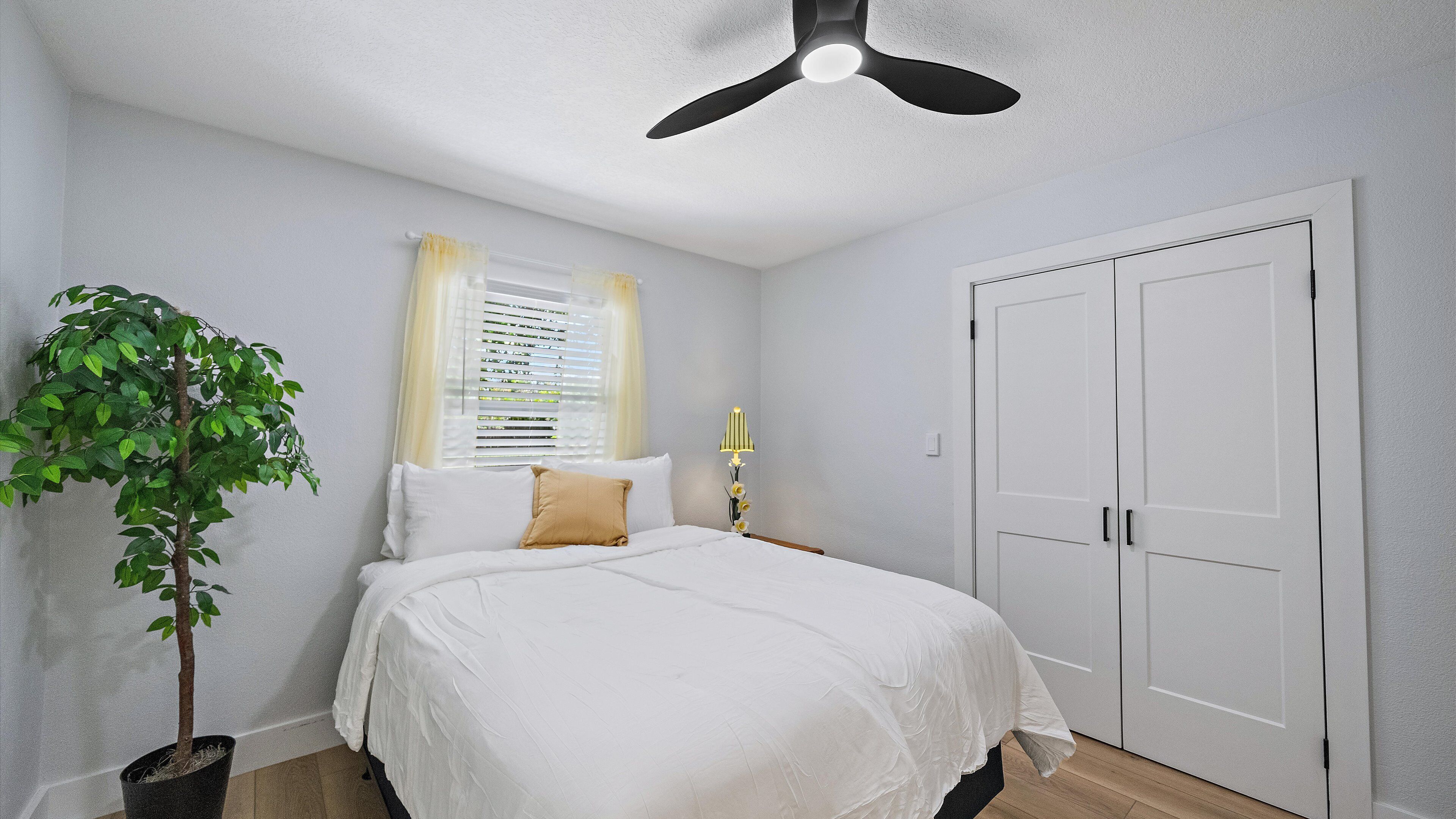 A bedroom with a bed, a ceiling fan, a window with blinds, a potted plant, and a door.