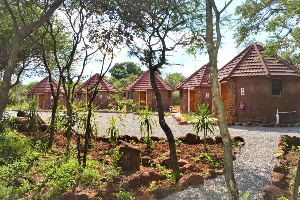 Cabañas rústicas de techo rojo alineadas, rodeadas de árboles y arbustos.