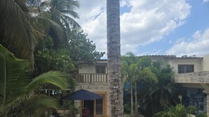 Ein Innenhof mit einer Palme, Sitzgelegenheiten im Freien und einem Hauseingang.