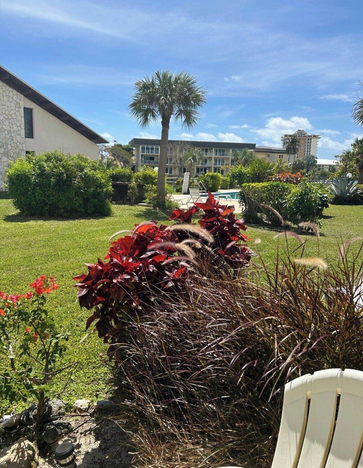 A landscaped garden with a variety of plants, a palm tree, and a building in the background.