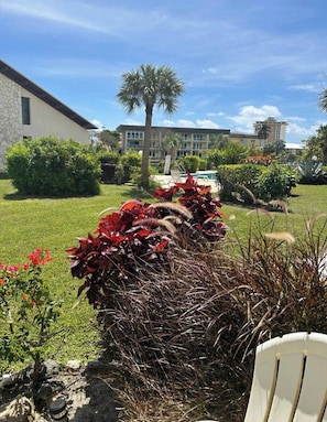 A landscaped garden with a variety of plants, a palm tree, and a building in the background.