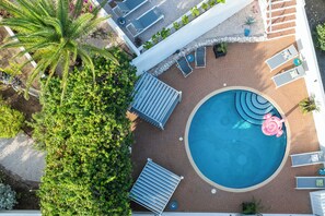 Luftaufnahme eines Poolbereichs mit Liegestühlen, einer Palme und einem kleinen Garten.