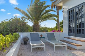 A patio with two lounge chairs, a palm tree, and a building with large windows. - Grand View: The Room with a Spectacular View (Willemstad)