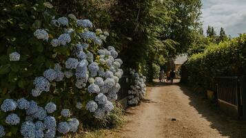 Un sendero bordeado de arbustos de hortensia que conduce a un edificio con muro de piedra.