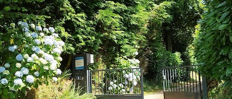 A gravel path leading to a gated entrance surrounded by lush greenery and trees.