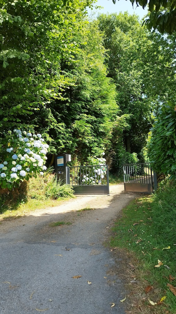 A gravel path leading to a gated entrance surrounded by lush greenery and trees.