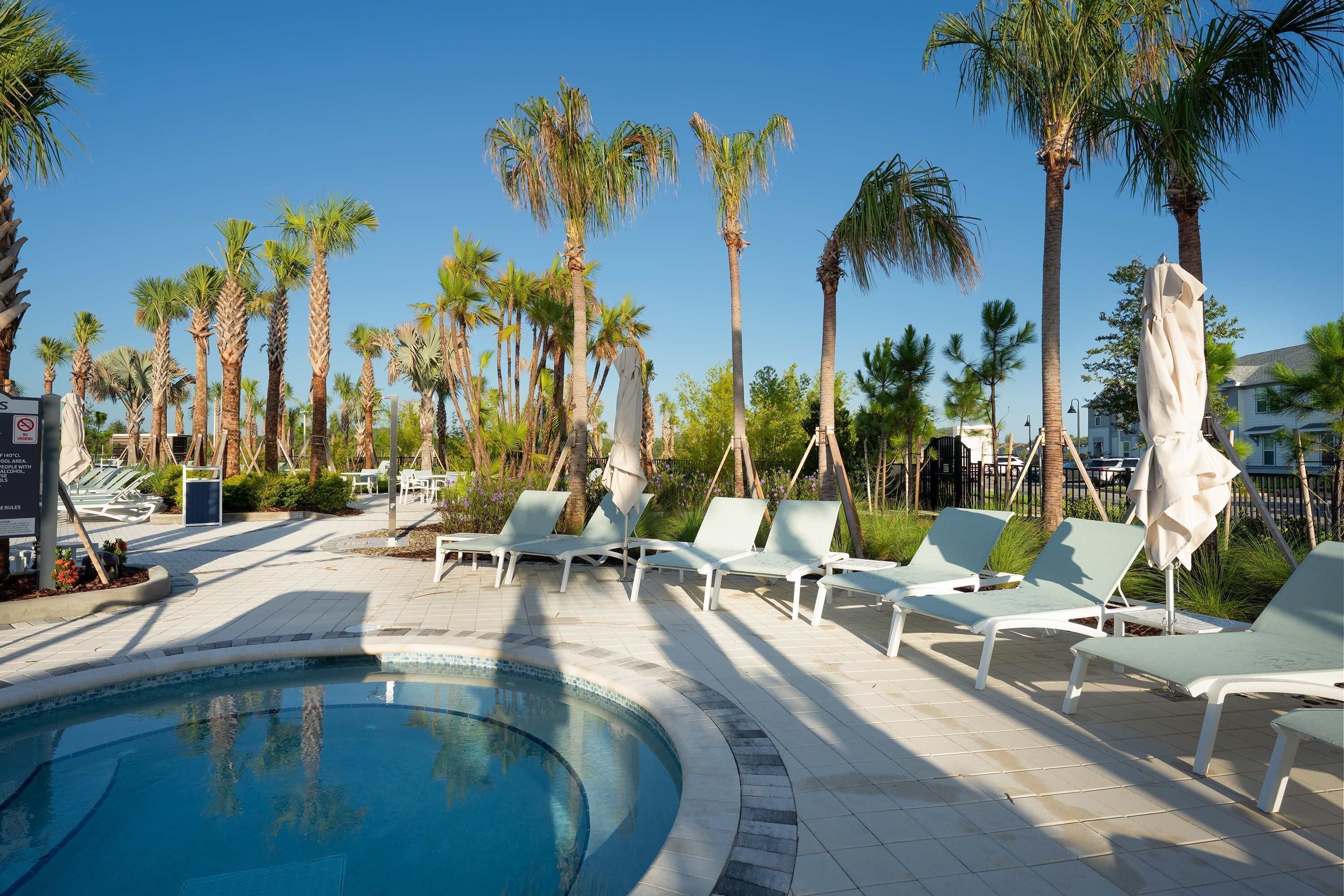 Un espace piscine avec des chaises longues et des palmiers.