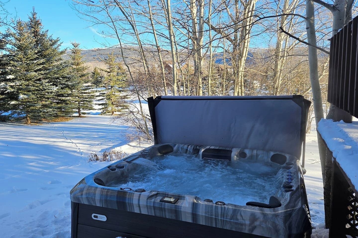 Un jacuzzi en un entorno nevado al aire libre, con cielo despejado y árboles al fondo.
