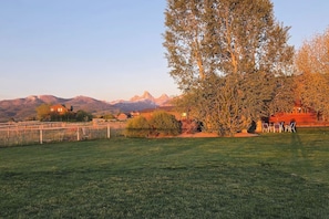 A grassy field with a wooden fence, a large tree, and a building with a red roof. - Wild Cat Lodge with Fenced Yard and Teton View (Driggs)