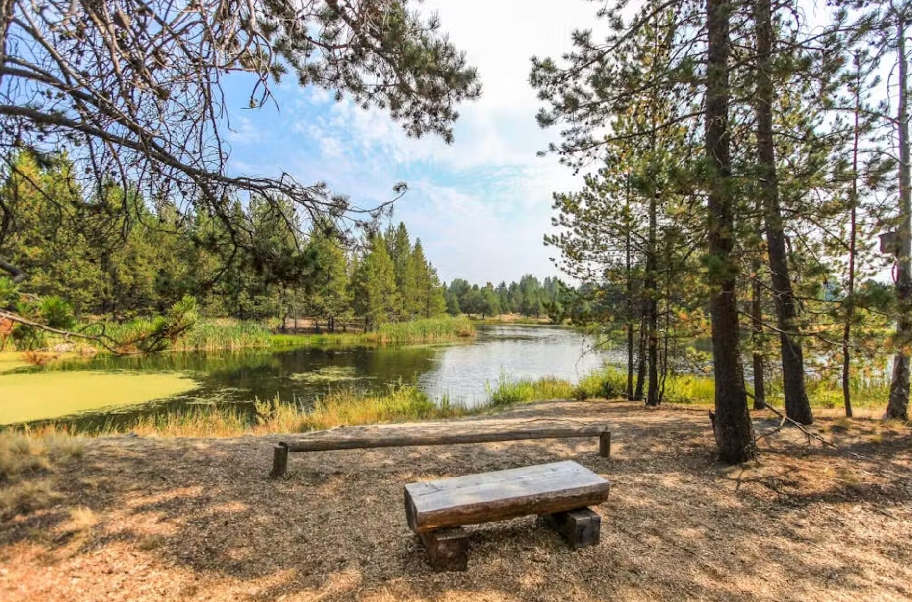 A bench in a forested area with a lake.